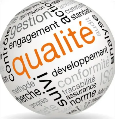 Quelle est votre qualité parmi celles-là ?