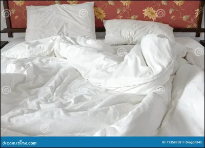 Quel est ton principal défaut ?