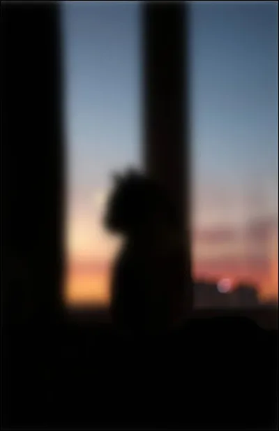 En continuant, encore plus loin, tu croises une ombre.C'est qu'elle est pass&eacute;e vite ! En t'approchant, tu constates que tu connais cette ombre noire.Qui est-ce ?