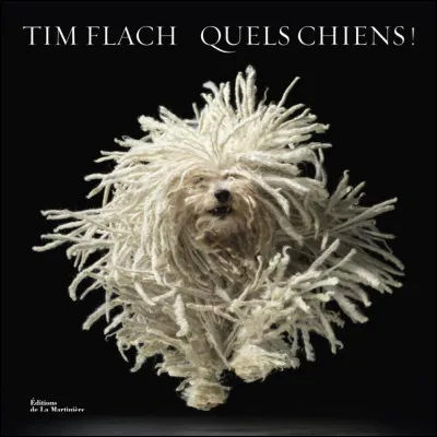 Quel est le pays d'origine du Puli ?