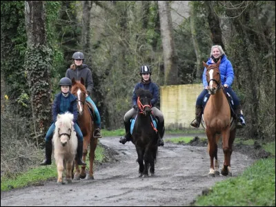 Parmi ces étapes de la ferrure, quelle est la première ?