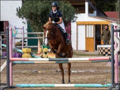 Qui ferre les pieds du cheval ?