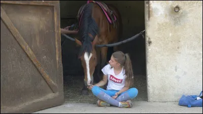 Pourquoi ne faut il pas donner de pain (non dur)aux chevaux