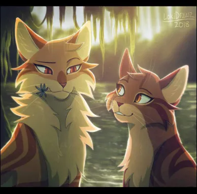 On va dire que tu es parti(e) en forêt pour te remettre les idées en place. Soudain tu entends un bruit de course et tu te retournes, Nuage de Baie est devant toi. Il/Elle te dit quil/elle ta vu partir et sinquiète pour toi. Tu le/la regardes dans les yeux et tu comprends la raison de sa venue : Nuage de Baie taime. Quelle est ta réaction ?