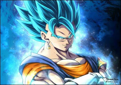 Vegetto est la fusion de qui et qui ?