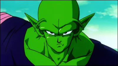 Qui a battu Raditz ?