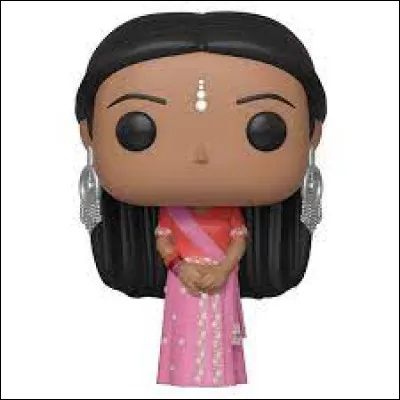 Dans quelle maison est Padma Patil, la jumelle de Parvati ?