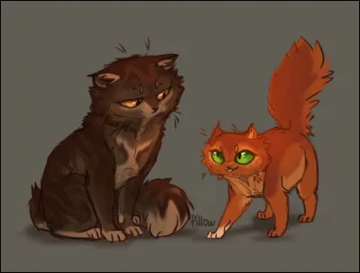 Comment sont les yeux de Poil d'Écureuil ?