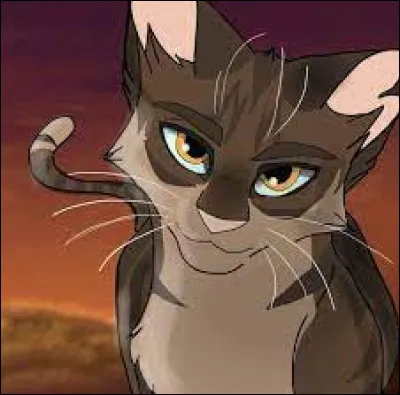 Qui est la sur d'Étoile de Ronce ?