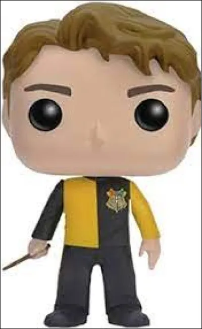 Qui est l'assassin de Cedric Diggory ?