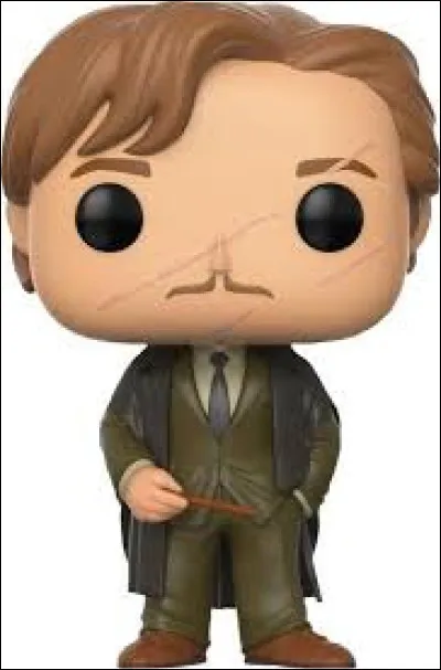 Qui est le fils de Remus Lupin ?