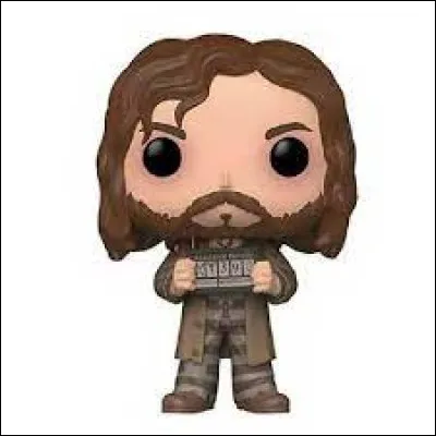 Quel était le numéro de Sirius Black à Azkaban ?