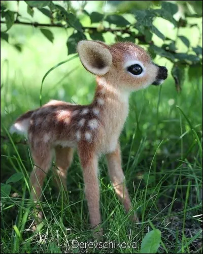Quel est ton animal préféré ?