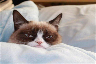 Es-tu d'humeur calme ou nerveuse ?