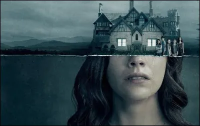 Quelle série Netflix est représentée par cette affiche ?