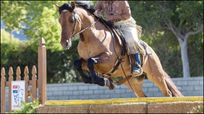 Passes-tu plus de cinq heures par jour sur ton téléphone ?