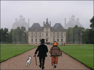 Quel est le nom du château que Haddock et Tintin achètent vers la fin ?