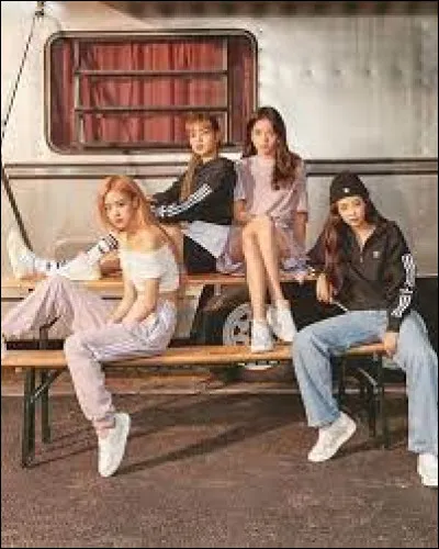 Qui est ceinture blanche de taekwondo ?