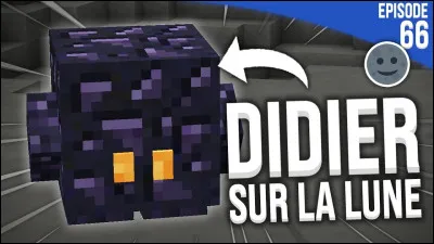 Didier est un Blockling :