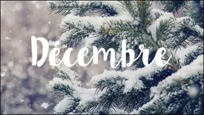 Cette question concerne Noël, l'hiver et le mois de décembre. Combien de jours complets sépareront le solstice d'hiver 2023 de Noël ?