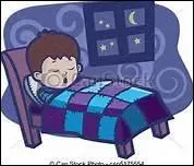 How do you translate 'dormir' in english ?