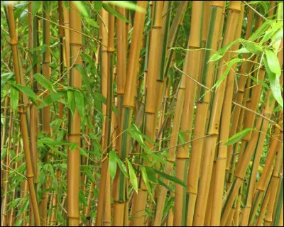 Si vous ne trouvez pas, ne prenez pas la mouche !