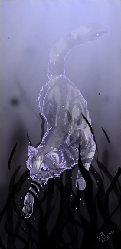 Comment est le pelage de Flaque Brillante ?