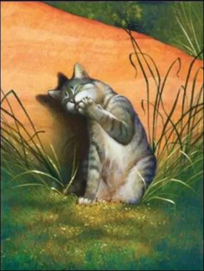 Quel chat est aveugle de naissance ?