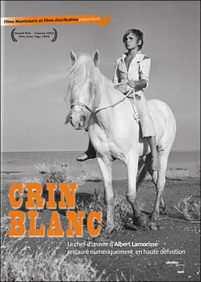 À Hippophile : dans le film d'Albert Lamorisse, comment se prénomme le petit garçon qui parvient à apprivoiser Crin blanc, le cheval sauvage ?