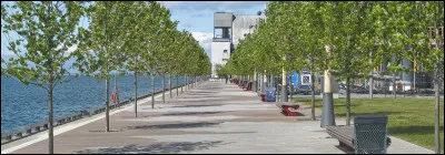 Vas-tu souvent te promener ?