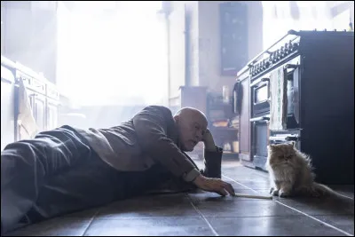 Cette comédie romantique avec Malkovich est...