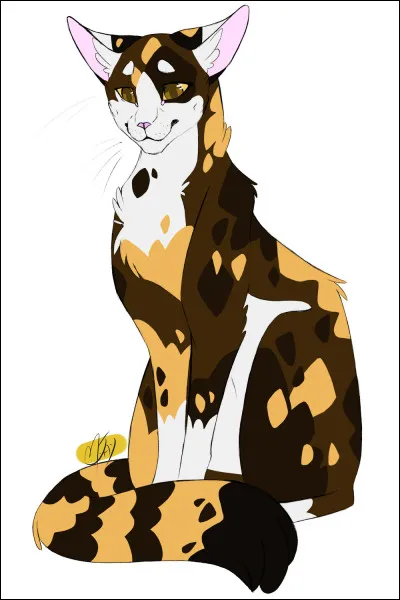 Pourquoi a-t-elle été nommée guerrière après ses frères ? (après être restée longtemps dans l'antre de Museau Cendré)