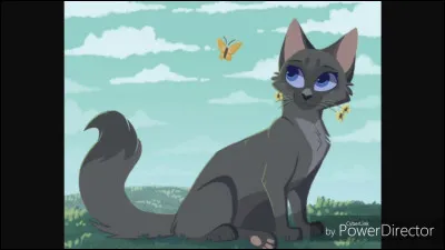 Feuille de Lune a eu peur que Coeur Cendré ne puisse plus utiliser sa patte.