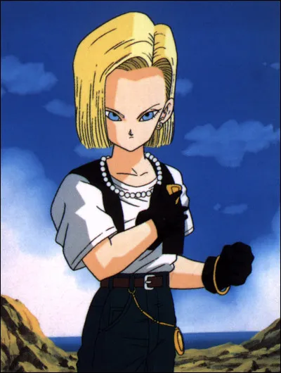 Qui est la femme de Krillin ?