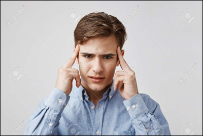 Dans l'expression "tête de linotte", quel animal est la linotte ?