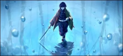 Combien maîtrise-t-il de mouvements ?