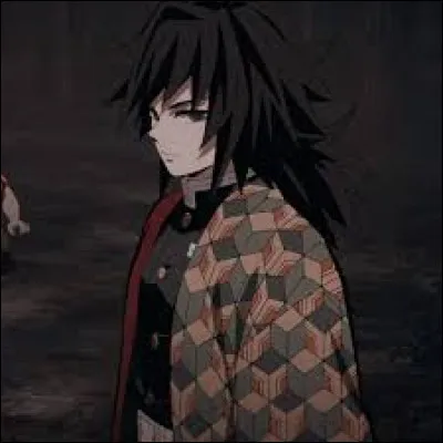 En hommage à quels personnages proches de Giyu est son haori ?