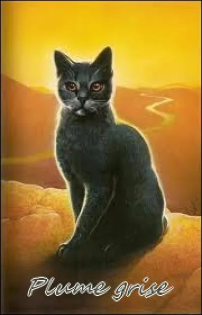 Pourquoi est-il parti des montagnes ?