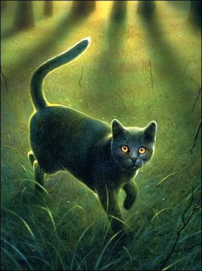 Pic Crochu est son petit frère, mais qui est sa petite sur ?