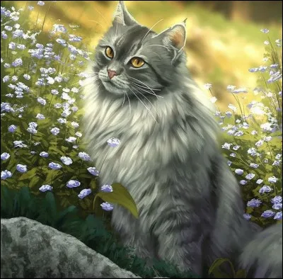 Qui ont été les deux compagnes de Gris Poil ?