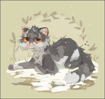 De quoi est-il mort ?