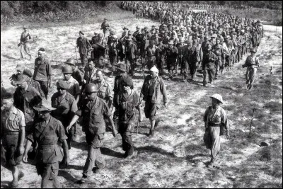 Ce 7 mai, après un mois et demi de combats, les combattants du Viet Minh s'emparent du camp retranché français de Diên Biên Phu ; 11 000 soldats français sont faits prisonniers : c'était en ...