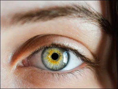 De quelle couleur sont tes yeux ?