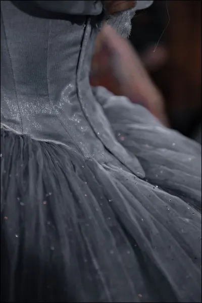 Comment sappelle la marâtre ?