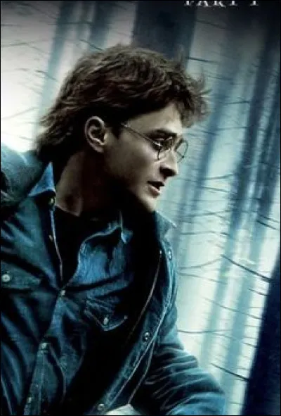 Dans ''Harry Potter et les Reliques de la mort, partie 1'', combien de Harry retrouve-t-on ?