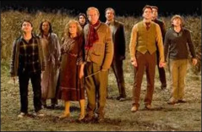 Dans ''Harry Potter et le Prisonnier d'Azkaban'', la famille Weasley a voyagé..
