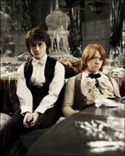 Dans ''Harry Potter et la Coupe de feu'', Harry propose à Cho Chang d'être sa cavalière, mais avec qui finit-il par danser ?