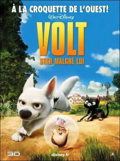 Dans le film "Volt, star malgré lui" (2008), quel est le nom de la chatte de gouttière qui vient en aide à Volt ?