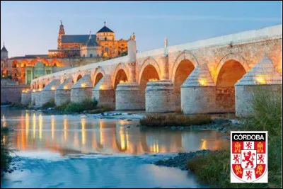 Quelle ville est arrosée par le Guadalquivir ?