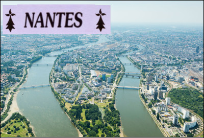 Quelle ville est arrosée par la Loire ?